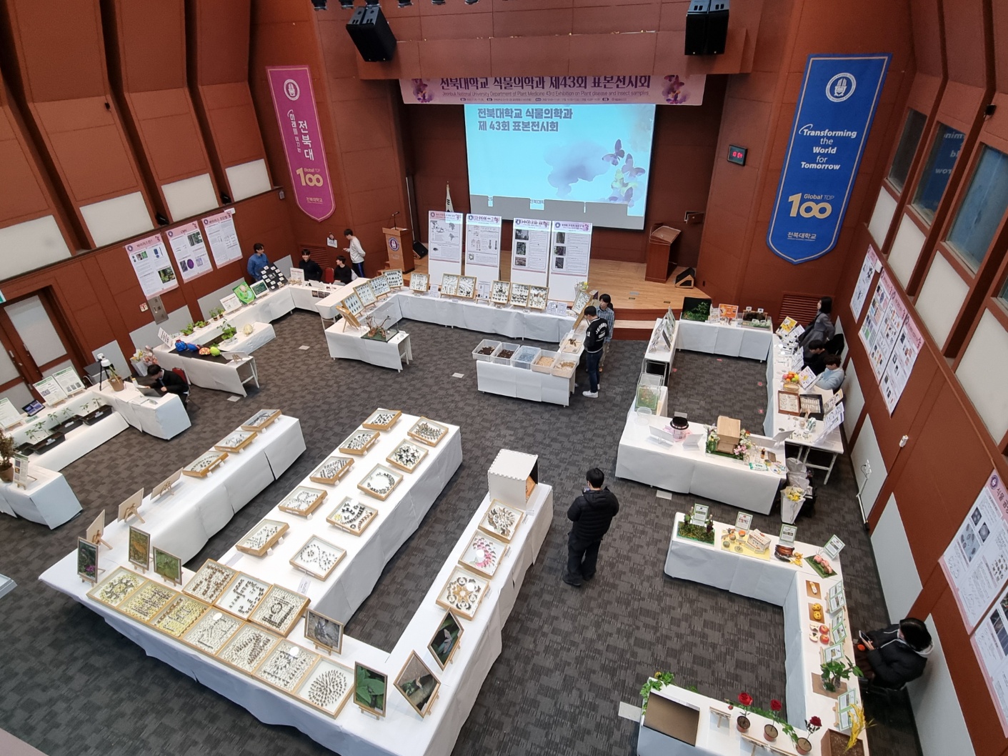 제43회 식물의학과 표본전시회(2025년) 2번째 첨부파일 이미지